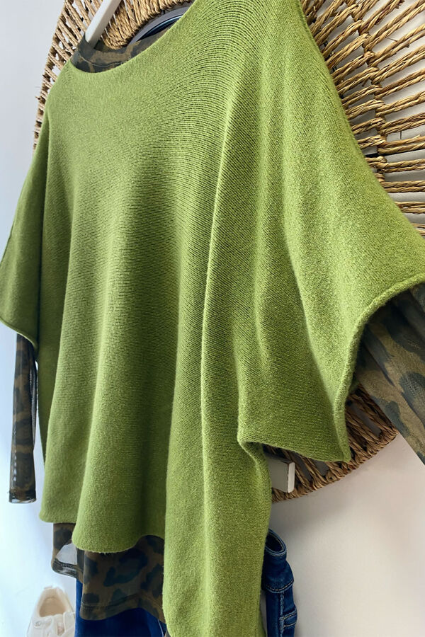 olive2.jpg