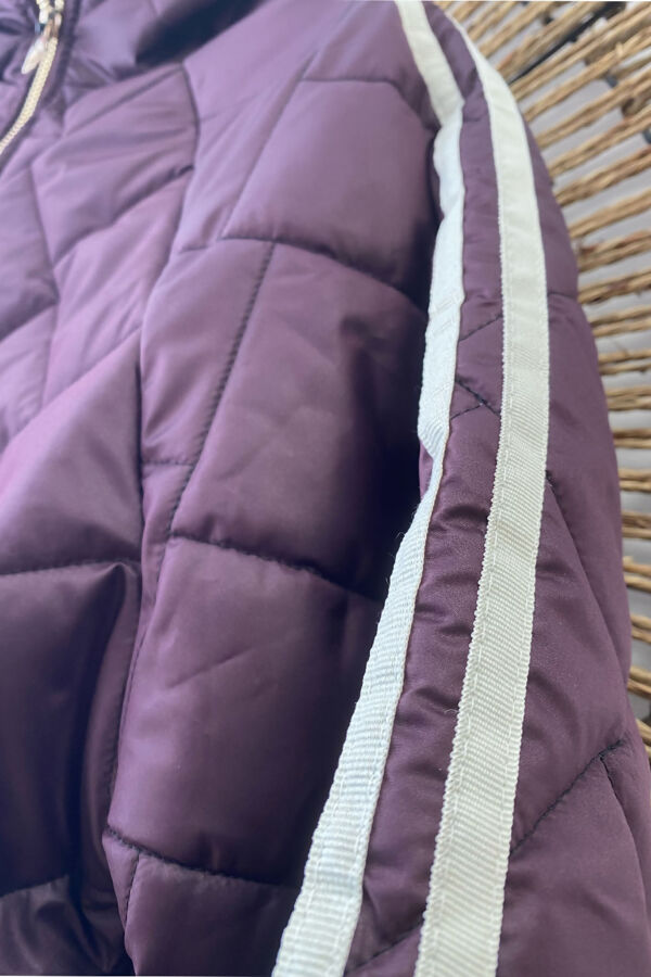 plum1.jpg